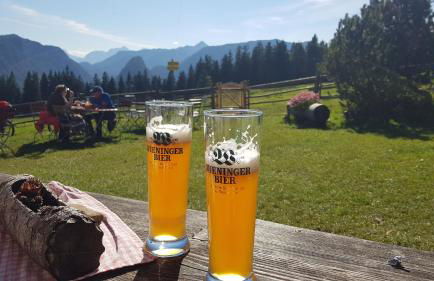 Alpina Inzell Wohnung 454 - Foto 33