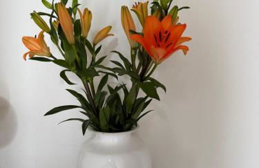 Residenza Il Castello Uno e Due - Photo 19