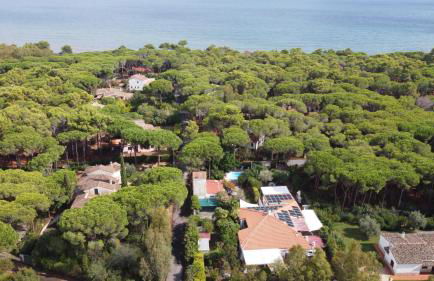 Jungle House - Pineta Is Morus - Foto 64