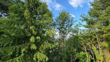 Waldzeit XL Apartment Natur und Self Check-in - Foto 2, Garden view