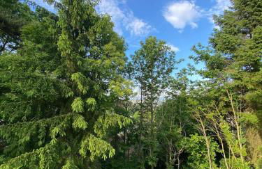 Waldzeit XL Apartment Natur und Self Check-in - Foto 2