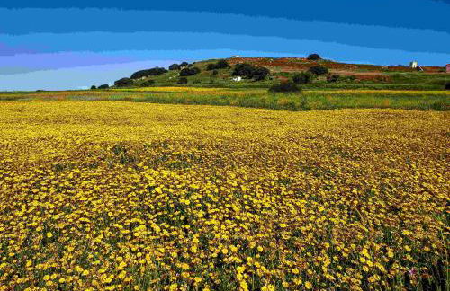 Repanidi Apartment D / Ρεπανίδι Διαμέρισμα Δ - Foto 55