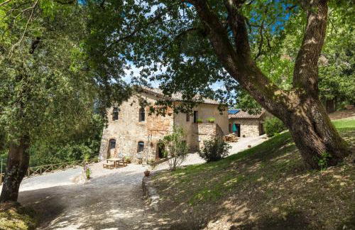 Tenuta della Selva - Foto 8