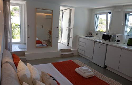 Anemelia & Helios Studio - Foto 2