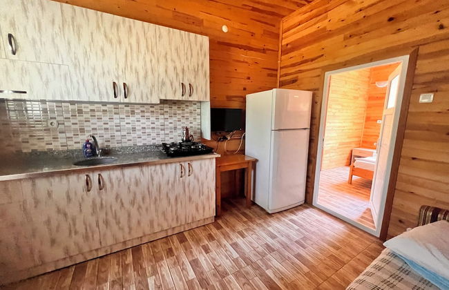 Adrasan Parlak Evleri - Foto 49