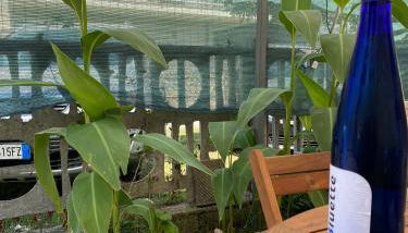 Casetta al mare MariaTeresa - Foto 2