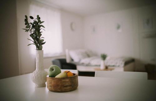 Studio Apartment E&D, free private parking, loggia - Foto 10