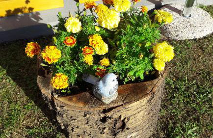 Apartment Rosie - Foto 30