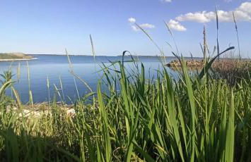 Casa Vacanze Nel Delta del Po - Foto 12