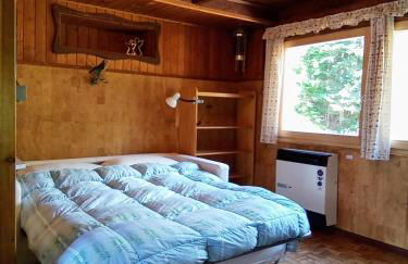 Il nido (Cica) - Foto 6