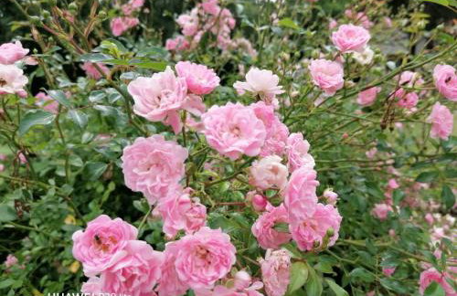 Apartment Borna - Photo 18