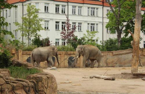 Große Wohnung im Neu-Seen-Land Leipzig - Foto 36