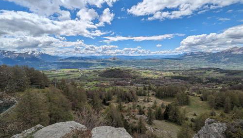 Les Écureuils - Foto 4