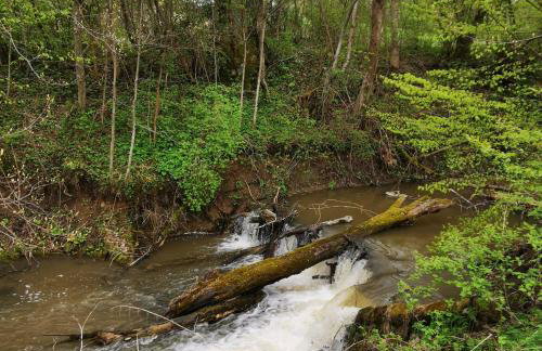 Ośrodek VolfCamp Kwaszenina - Foto 11