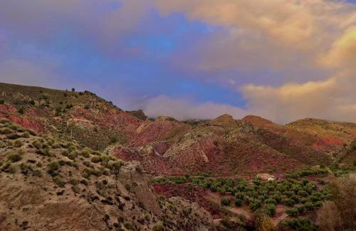 La Rosita alojamiento rural - Foto 21