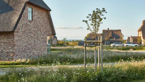 Reetdorf Geltinger Birk Malerhaus Eisnebel - Foto 5