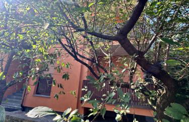 Alice Nel Paese Delle Meraviglie - Foto 15