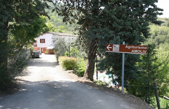 B&B Amoliv - Foto 17