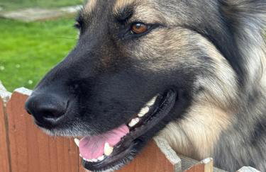 Private 2 Bedroom Lofted Garage Getaway - Foto 34