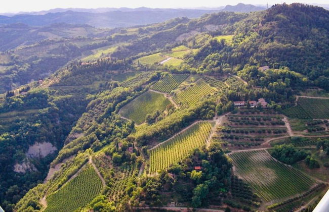 Spacious Home With Pool - Foto 41