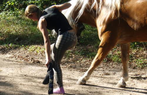 Hotel Reiterhof-Altmühlsee - Foto 16