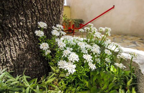 Holiday house with a parking space Kasic, Sibenik - 11079 - Photo 10