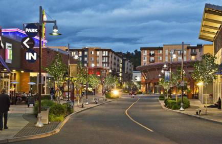 Entire house Pet Friendly w gated backyard Boeing - Foto 33