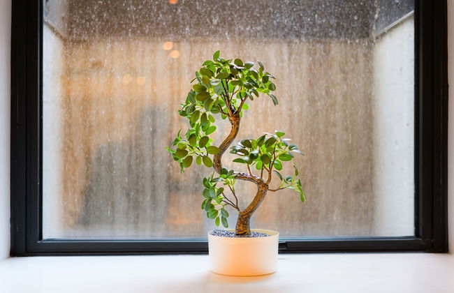 Pontcanna Jewel Cardiff city centre - Foto 6