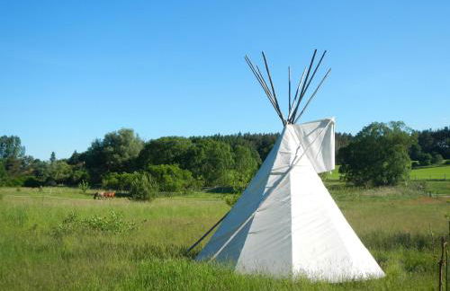 Ferienlandhaus Zempow - Photo 34