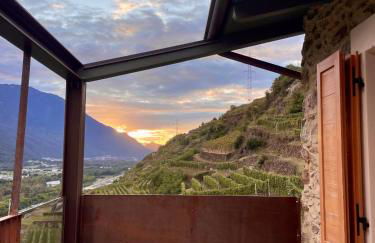 Ca' Barroni - Luxury Agriresort - Foto 49