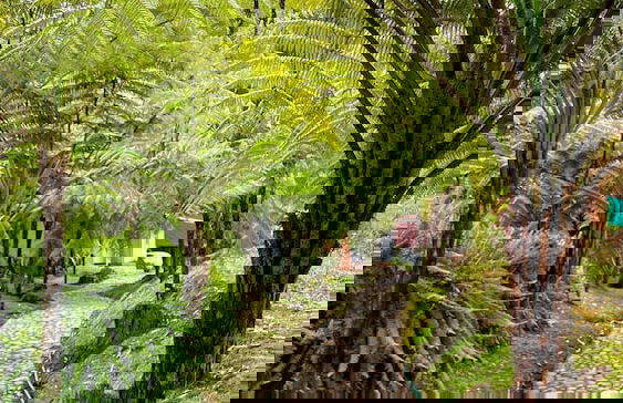 Avalon Hotel Campestre en Jardin - Photo 66