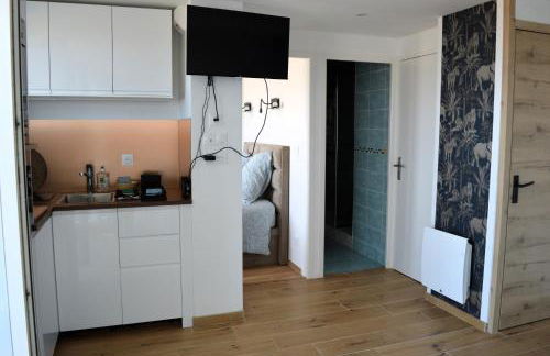 Mettons les voiles - Appt vue mer avec loggia - Photo 12