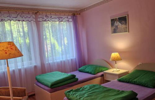 Ośrodek Wypoczynkowy Puszczyk Domek Akacjowy- Apartament -Willa - Foto 3