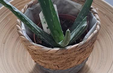 Stylish City Center Apartment - Foto 76