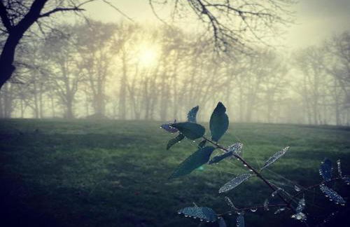 Estate in Dordogne near Sites - Foto 36