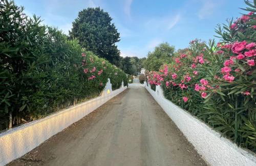 Villetta indipendente Simius - Foto 19