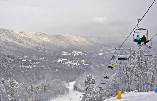 The Mountain Muse - Music, Games, HotTub, Sleeps12, PetsOk - Foto 12