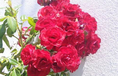 Herdade Do Azinhal - Foto 42