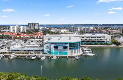 Clearwater Beach Pelican 2 - Foto 7