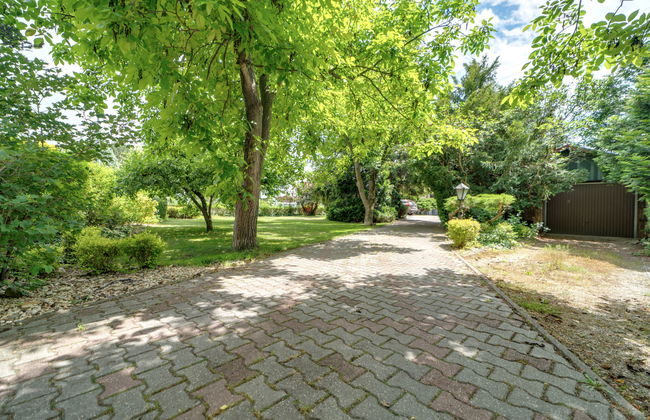 W Starym Sadzie - Foto 35