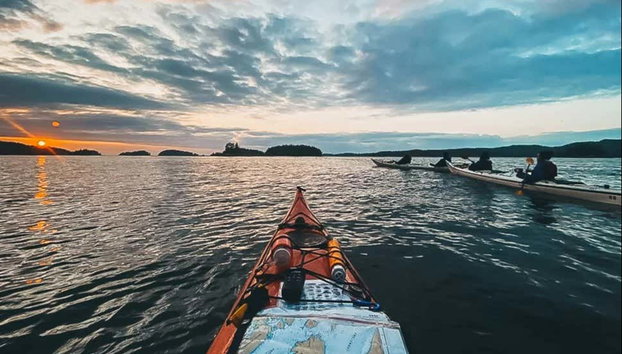 Telegraph Cove Kayak Tour - Foto 3