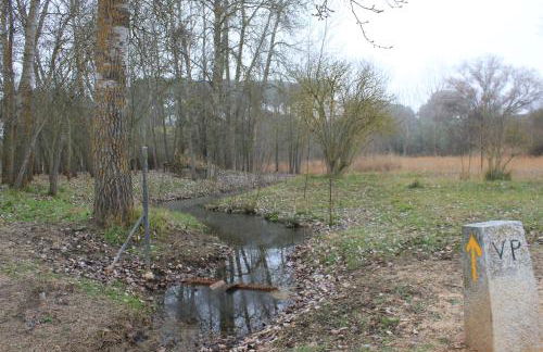 Las Gavias - Foto 52