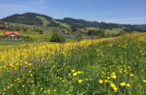 Sonnenhof - Ferienwohnung - Foto 65