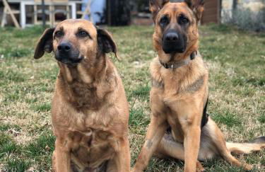 Corte Odorico - Foto 29