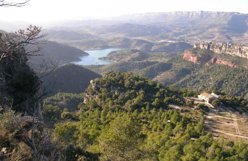 Mas del Salin - Foto 22