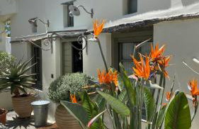 Tinos E-houses - Foto 42