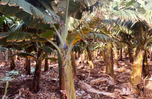 Rooftop Casa El Banco - Foto 28