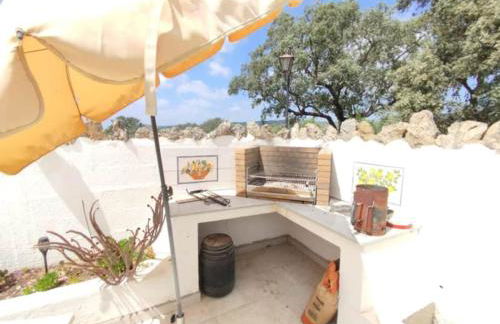 Quinta Azul - Foto 64