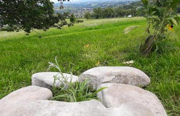 Domek pod Skiełkiem - Photo 74