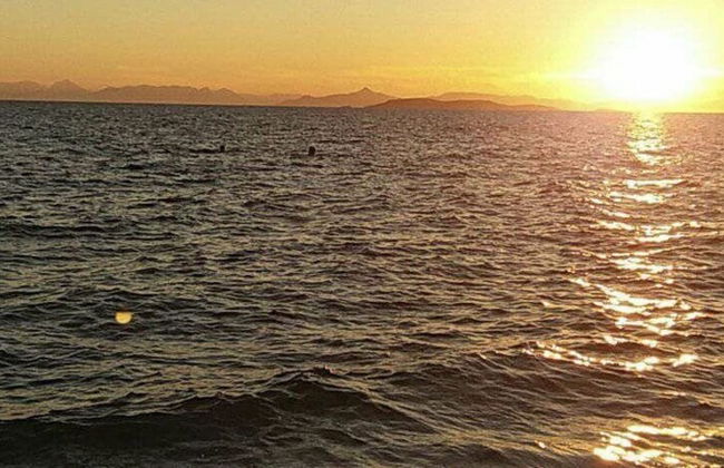 Ecological Studio Flat in Kalyvia Thorikou, Greece - Foto 35